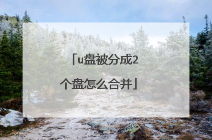 u盘被分成2个盘怎么合并