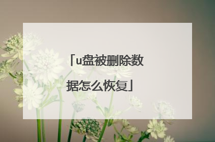 u盘被删除数据怎么恢复