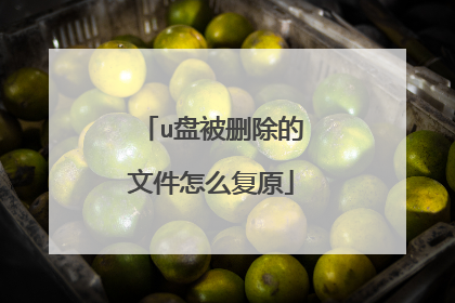 u盘被删除的文件怎么复原