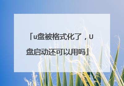 u盘被格式化了，U盘启动还可以用吗