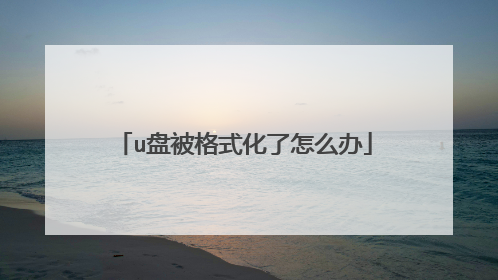 u盘被格式化了怎么办