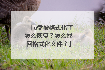 u盘被格式化了怎么恢复?怎么找回格式化文件?