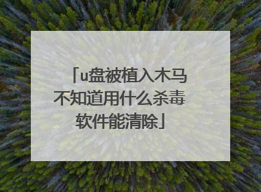 u盘被植入木马不知道用什么杀毒软件能清除