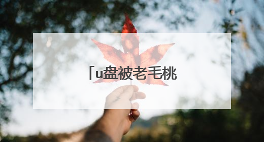 u盘被老毛桃了怎么恢复啊