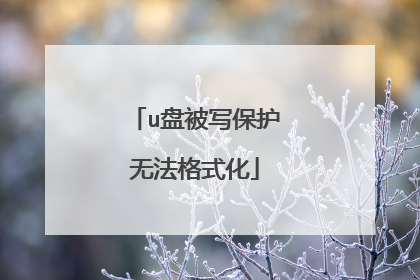 u盘被写保护无法格式化