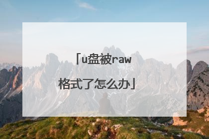 u盘被raw格式了怎么办