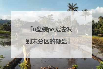 u盘装pe无法识别未分区的硬盘