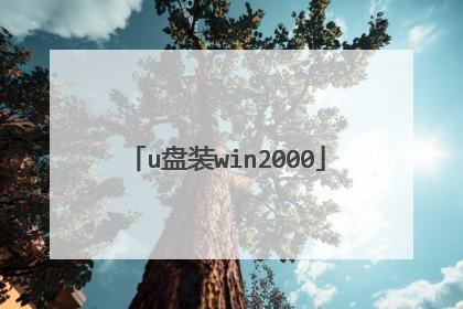 u盘装win2000