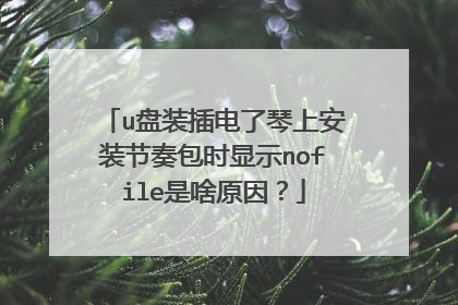 u盘装插电了琴上安装节奏包时显示nofile是啥原因？