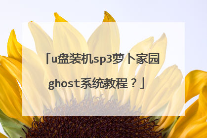 u盘装机sp3萝卜家园ghost系统教程?