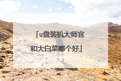 u盘装机大师官和大白菜哪个好