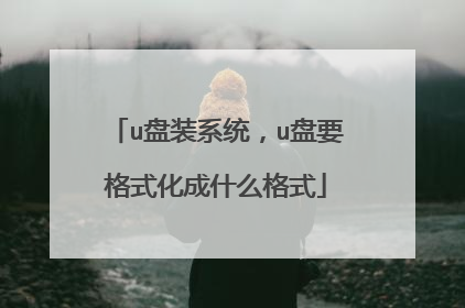 u盘装系统,u盘要格式化成什么格式