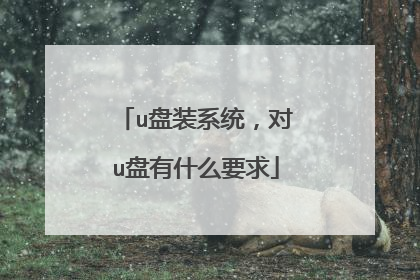 u盘装系统,对u盘有什么要求