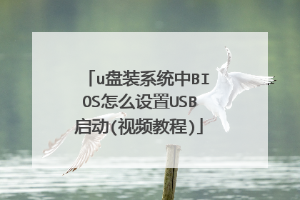 u盘装系统中BIOS怎么设置USB启动(视频教程)