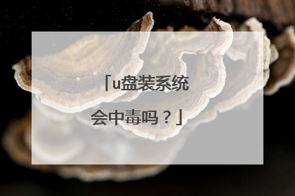 u盘装系统会中毒吗？