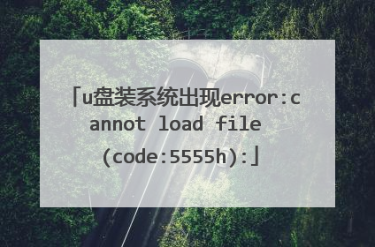 u盘装系统出现error:cannot load file (code:5555h):