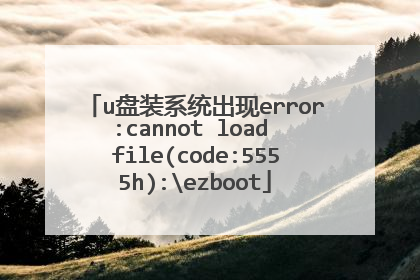 u盘装系统出现error:cannot load file(code:5555h):ezboot