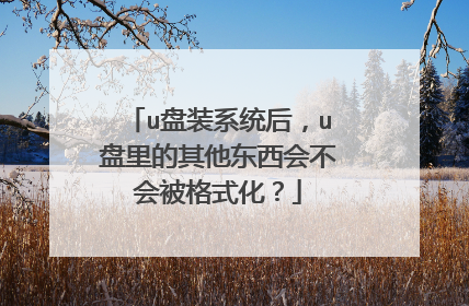 u盘装系统后,u盘里的其他东西会不会被格式化?