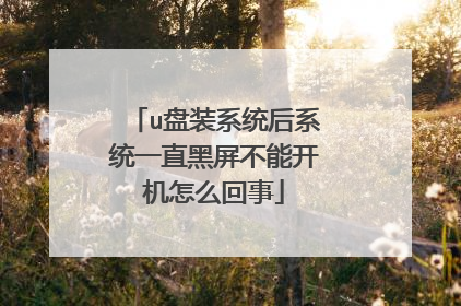 u盘装系统后系统一直黑屏不能开机怎么回事