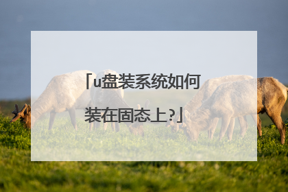 u盘装系统如何装在固态上?