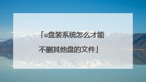 u盘装系统怎么才能不删其他盘的文件