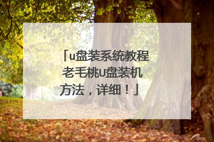 u盘装系统教程 老毛桃U盘装机方法，详细！