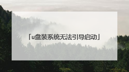 u盘装系统无法引导启动