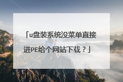 u盘装系统没菜单直接进PE给个网站下载？