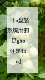 u盘装系统用的是gho还是iso