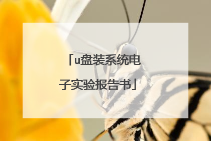 u盘装系统电子实验报告书