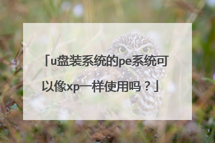u盘装系统的pe系统可以像xp一样使用吗？