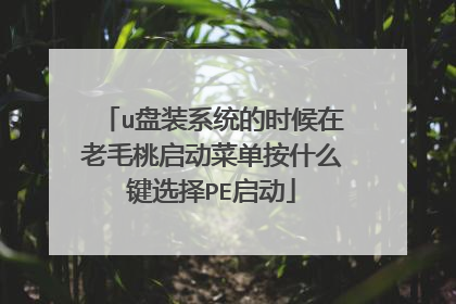 u盘装系统的时候在老毛桃启动菜单按什么键选择PE启动
