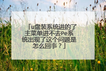 u盘装系统进的了主菜单进不去Pe系统出现了这个问题是怎么回事?