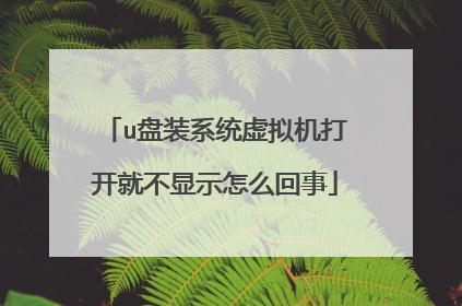 u盘装系统虚拟机打开就不显示怎么回事