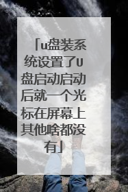 u盘装系统设置了U盘启动启动后就一个光标在屏幕上其他啥都没有