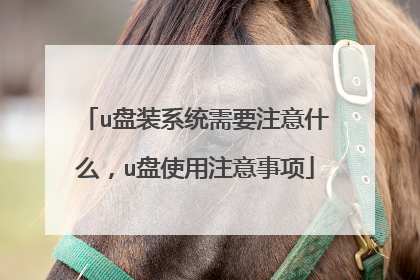 u盘装系统需要注意什么,u盘使用注意事项
