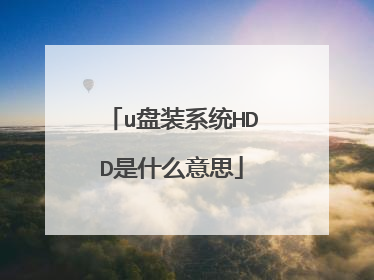 u盘装系统HDD是什么意思
