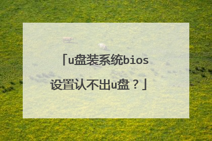 u盘装系统bios设置认不出u盘？