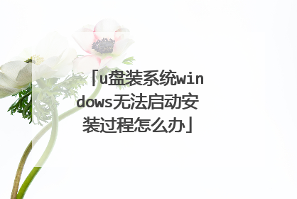 u盘装系统windows无法启动安装过程怎么办