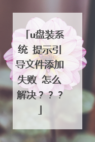 u盘装系统 提示引导文件添加失败 怎么解决？？？