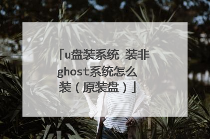 u盘装系统 装非ghost系统怎么装(原装盘)
