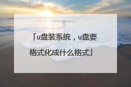 u盘装系统,u盘要格式化成什么格式
