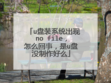 u盘装系统出现no file，怎么回事，是u盘没制作好么