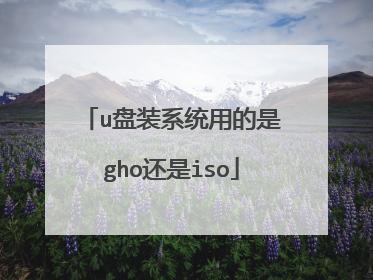 u盘装系统用的是gho还是iso
