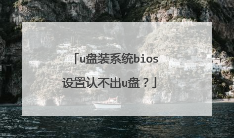 u盘装系统bios设置认不出u盘？