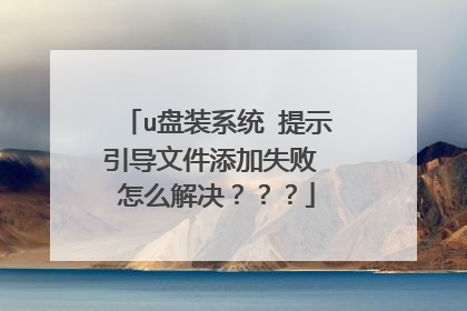 u盘装系统 提示引导文件添加失败 怎么解决？？？