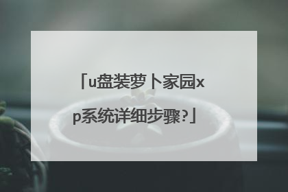 u盘装萝卜家园xp系统详细步骤?