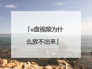 u盘视频为什么放不出来