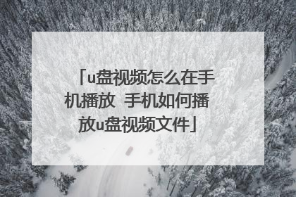 u盘视频怎么在手机播放 手机如何播放u盘视频文件