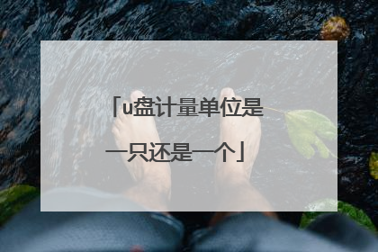 u盘计量单位是一只还是一个
